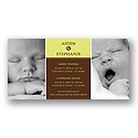 Double the Love -- Olive Twins Photo Birth Announcement