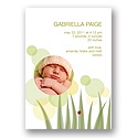 Friendly Crawlers -- Ladybug Recycled Photo Birth Announcement