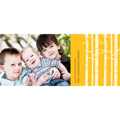 A Walk Through the Woods -- Thanksgiving Photo Card