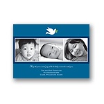 Winter Dove -- Photo Holiday Card