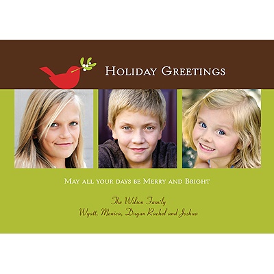Tiny Dove -- Holiday Photo Cards
