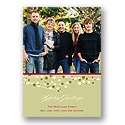 Berry Branch -- Photo Holiday Card
