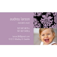 Elegant Damask 