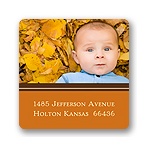 Solid Stripes -- Photo Address Label