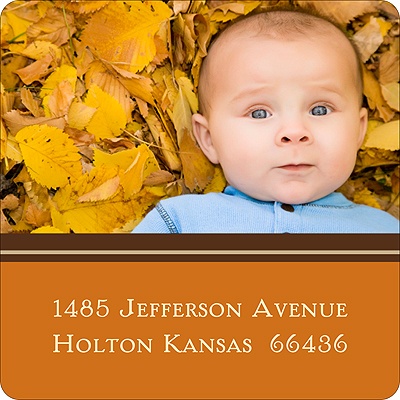 Solid Stripes -- Photo Address Label