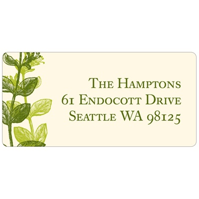Elegant -- Green Address Label