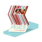 Peace Flows Down -- Photo Christmas Card