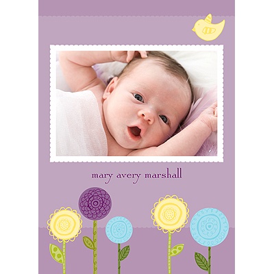 THE GOLDEN TICKET -- BOY PHOTO BIRTH ANNOUNCEMENT, 2in. x 4in. Folded Holiday Card