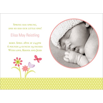 THE GOLDEN TICKET -- BOY PHOTO BIRTH ANNOUNCEMENT, 2in. x 4in. Folded Holiday Card