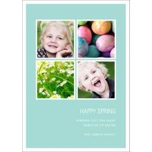 Spring Fever -- Easter Photo Cards