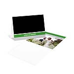 Contemporary Frames in Green -- Wedding Photo Thank You Card