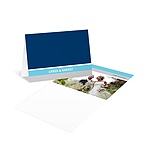 Contemporary Frames in Blue -- Wedding Photo Thank You Card