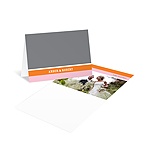 Contemporary Frames in Pink -- Wedding Photo Thank You Card