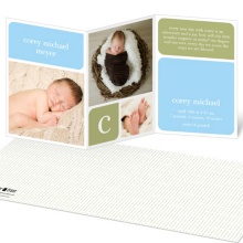 Baby Book Blocks -- Boy Elegant Birth Announcements