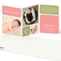 Baby Book Blocks -- Girl Elegant Birth Announcement