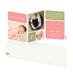 Baby Book Blocks -- Girl Elegant Birth Announcements
