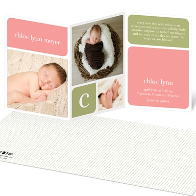 Baby Book Blocks -- Girl Elegant Birth Announcements