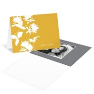 Stylish Flower Background 