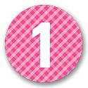Round Gingham -- Kids Birthday Favor Stickers