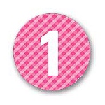 Round Gingham -- Kids Birthday Favor Stickers
