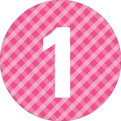 Round Gingham -- Kids Birthday Favor Stickers