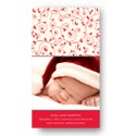 Leafy Swirls -- Christmas Birth Announcements