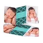 Damask Vision -- Modern  Birth Announcement