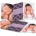 Damask Vision -- Modern  Birth Announcement
