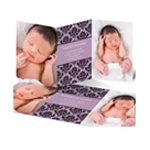 Damask Vision -- Modern  Birth Announcement