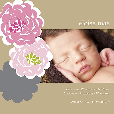 Peek Around the Flowers in Pink -- Baby Announcement