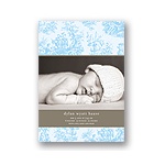 Toile Backdrop in Blue -- Photo Baby Announcement