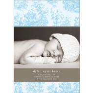 Toile Backdrop in Blue 