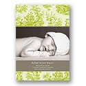 Memories in Green -- Toile Photo Birth Announcement