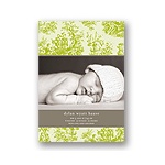 Memories in Green -- Toile Photo Birth Announcement
