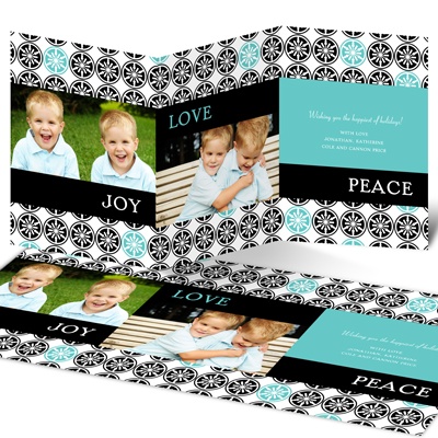 Stylish Snowflake Delight -- Holiday Photo Cards