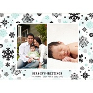 Falling Snowflakes 