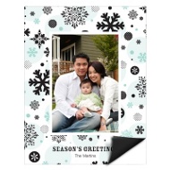 Falling Snowflakes 