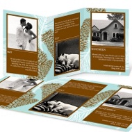 Tri-Fold Evergreen Treasures 