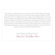 Seasons Greetings -- Horizontal Christmas Letter Insert