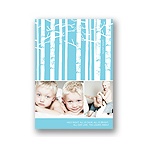 Wooded Silent Night -- Photo Christmas Card