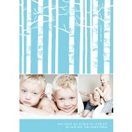 Wooded Silent Night 