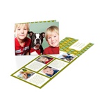 Picture Perfection -- Photo Christmas Card