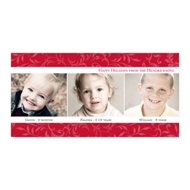 Elegant Holly Border 