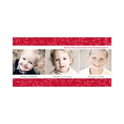 Elegant Holly Border -- Photo Christmas Cards