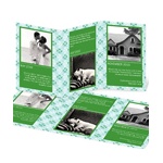 Patterned Timeline -- Photo Holiday Card