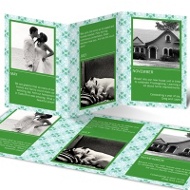 Patterned Timeline 