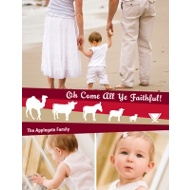Nativity Scenery 