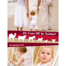 Nativity Scenery -- Photo Christmas Card