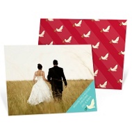 Peaceful Doves 