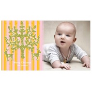 Chic Stripes in Pink, Orange 